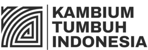 kambium